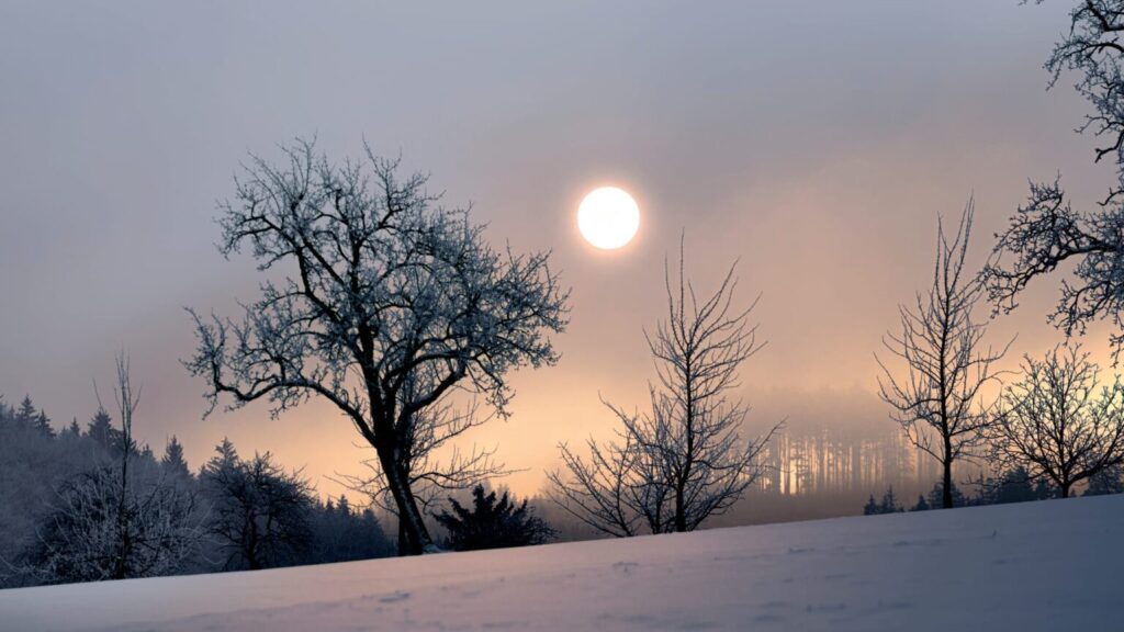 Dec 22 to be shortest day of year 2023 Daily Independent